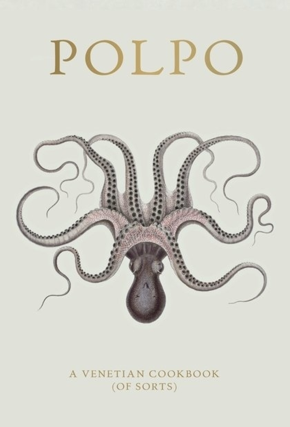 Polpo, A Venetian Cookbook (Of Sorts) - Russel Norman in the group Cooking / Cookbooks / National & regional cuisines / at KitchenLab (1987-26127)