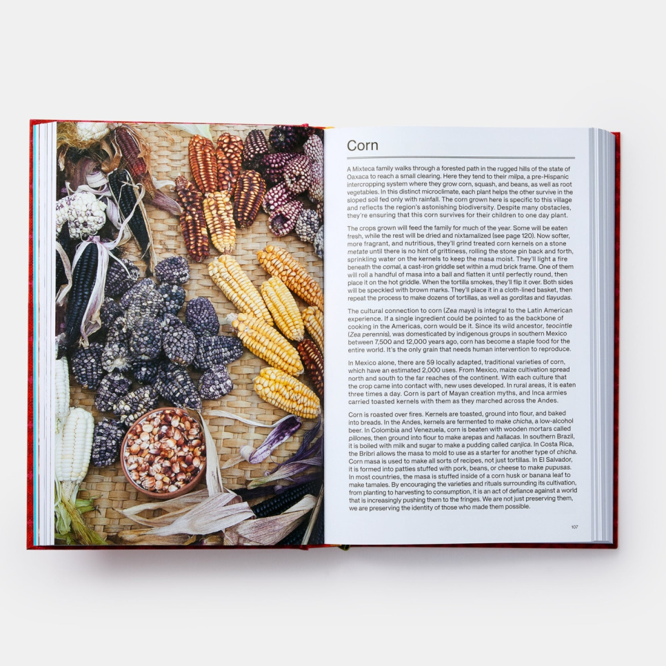 The Latin American Cookbook - Virgilio Martínez