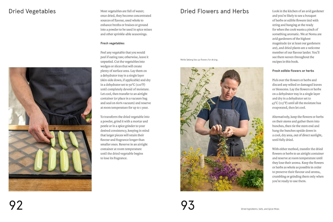 The Noma Guide to Building Flavour - Rene Redzepi - Shop online