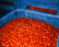 San Marzano tomatoes DOP, 420g - Casa Marrazzo