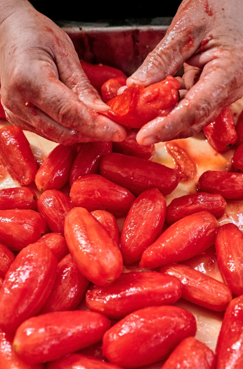 San Marzano Tomaten DOP, 2560g - Casa Marrazzo