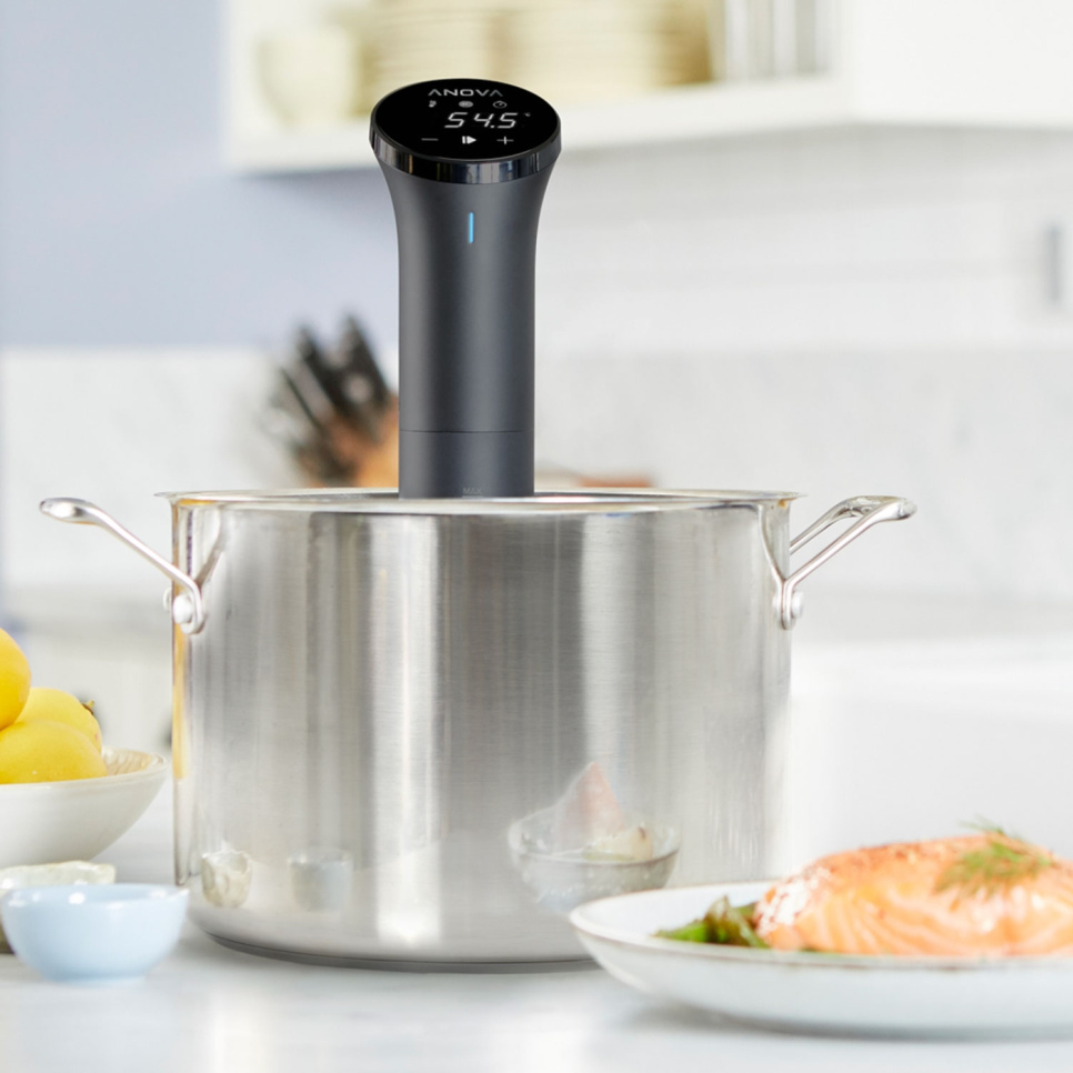 Anova Nano 2.0 - AN400-EU00 - Sous Vide Circulator