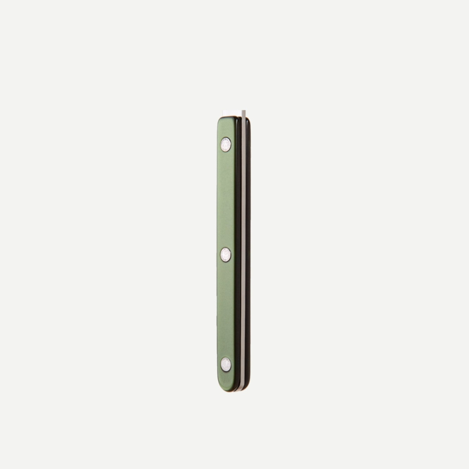 Cake server, Bistrot Pearly, Dark green - Sabre Paris