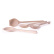 Ladle in Birch - AT-Line
