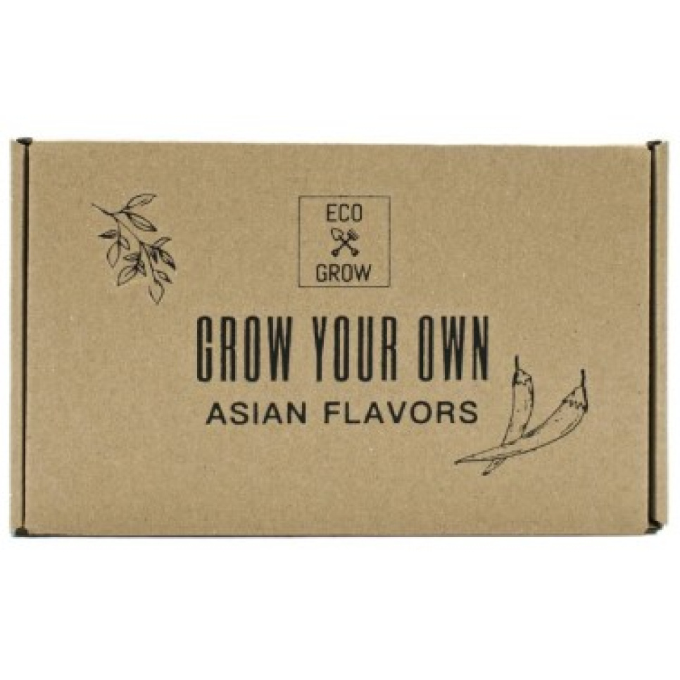 Growing kit, Asian flavors (4 pcs) - Eco Grow in the group Cooking / Colonial at KitchenLab (2214-31535)
