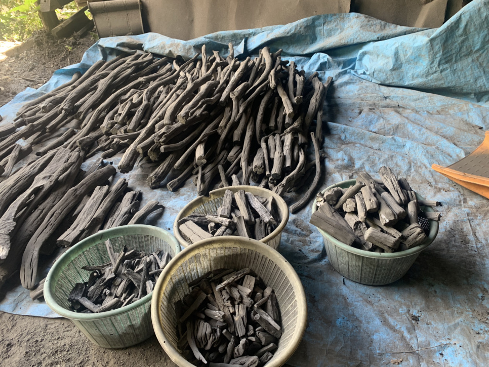 Charcoal, Kishu-Binchotan of Ubamegashi oak, cirka 1kg - Kisyu Sumikobo