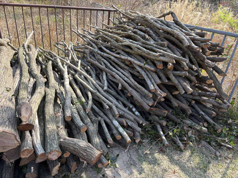 Charcoal, Kishu-Binchotan of Ubamegashi oak, cirka 1kg - Kisyu Sumikobo