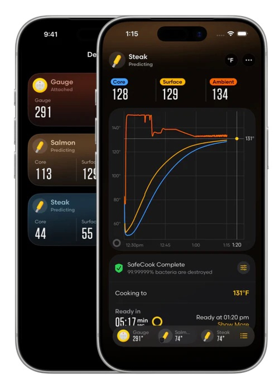 Wifi-Anzeige - Combustion