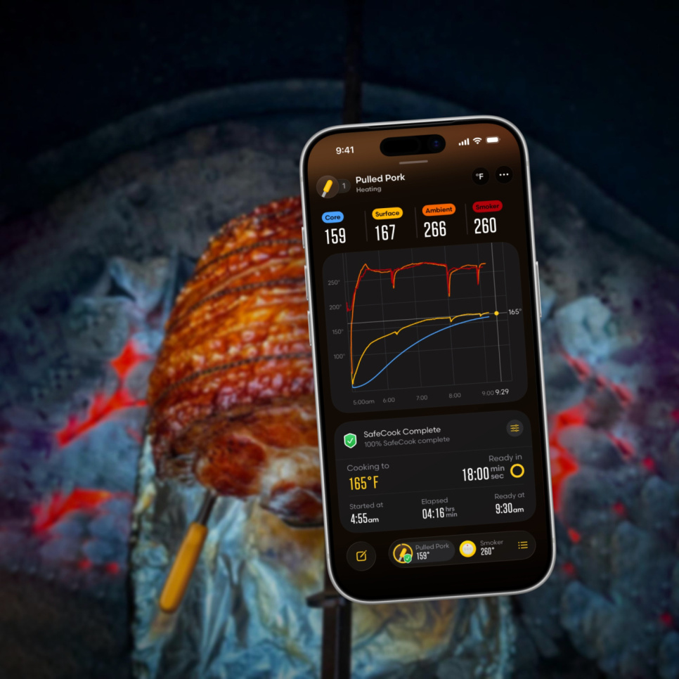 Thermomètre sans fil avec booster wifi - Combustion