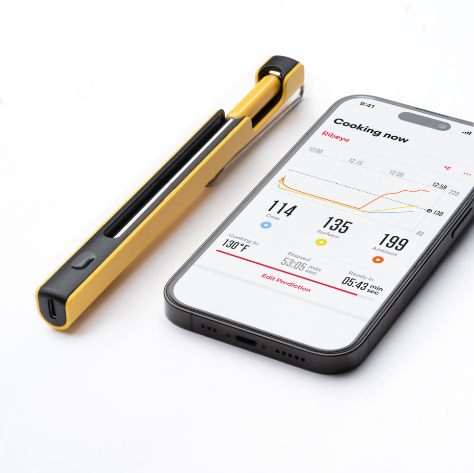 Thermomètre sans fil avec booster wifi - Combustion