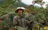 Poivre du Sichuan, QingXi, 15 g - The Pepper Quest