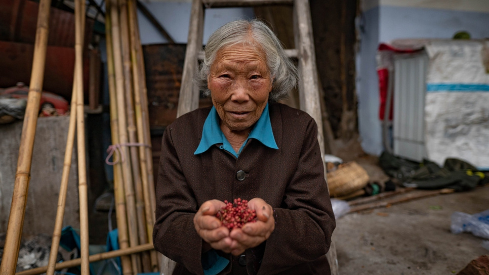 Poivre du Sichuan, QingXi, 15 g - The Pepper Quest