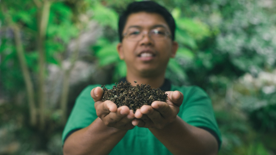 Pepper, Andaliman, Batak, 15 g - The Pepper Quest