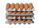 Plastic egg flat, pack of 4 - Hendi