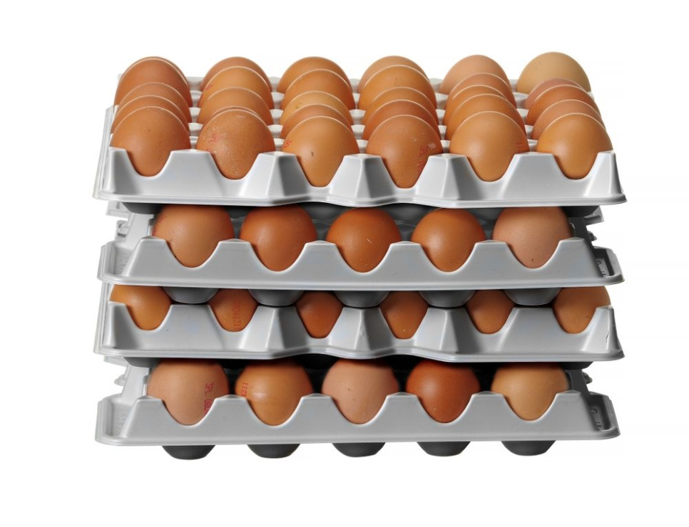 Plastic egg flat, pack of 4 - Hendi