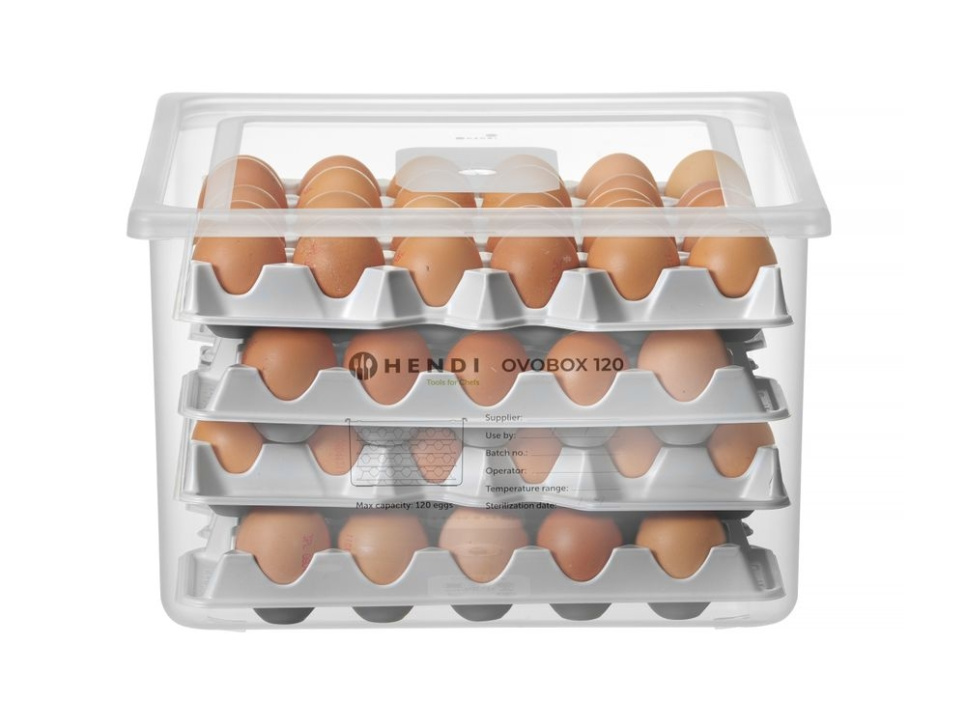 Egg container, GN 2/3 - Hendi
