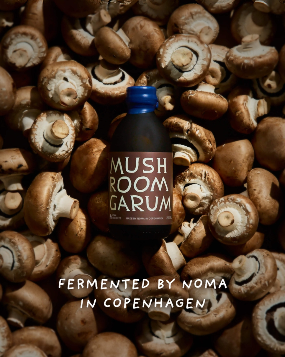 Mushroom Garum, 250 ml - Noma Projects