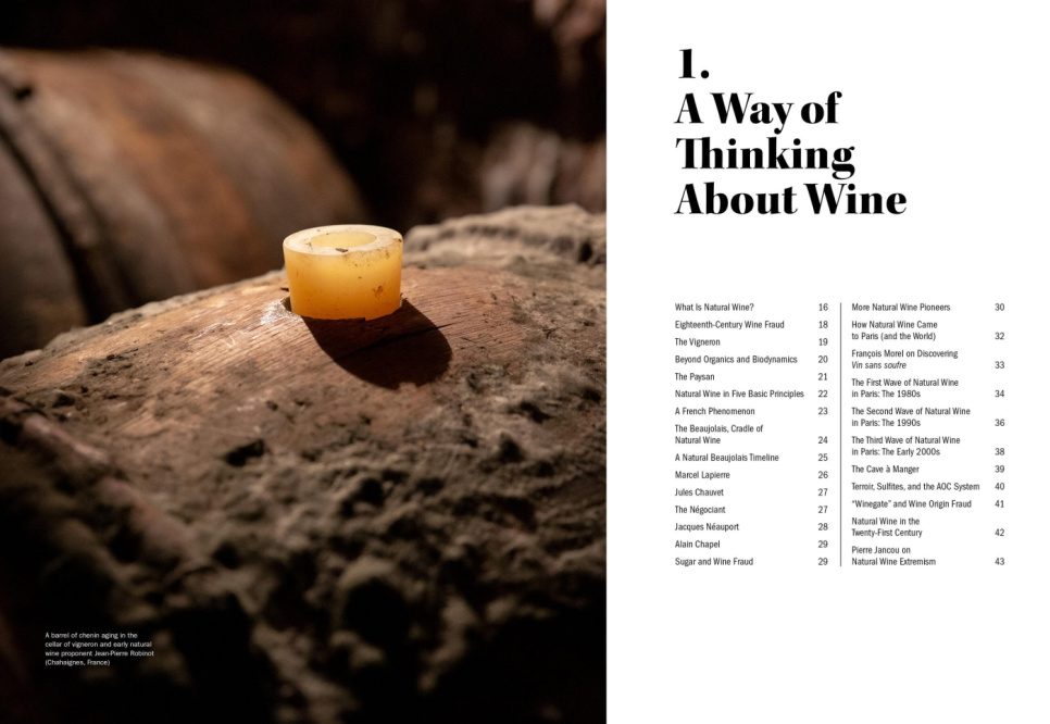 The World of Natural Wine - Aaron Ayscough