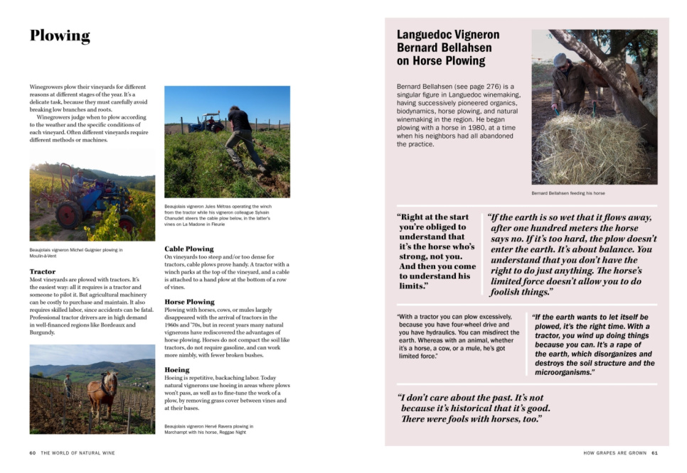 The World of Natural Wine - Aaron Ayscough