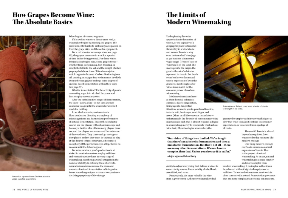 The World of Natural Wine - Aaron Ayscough