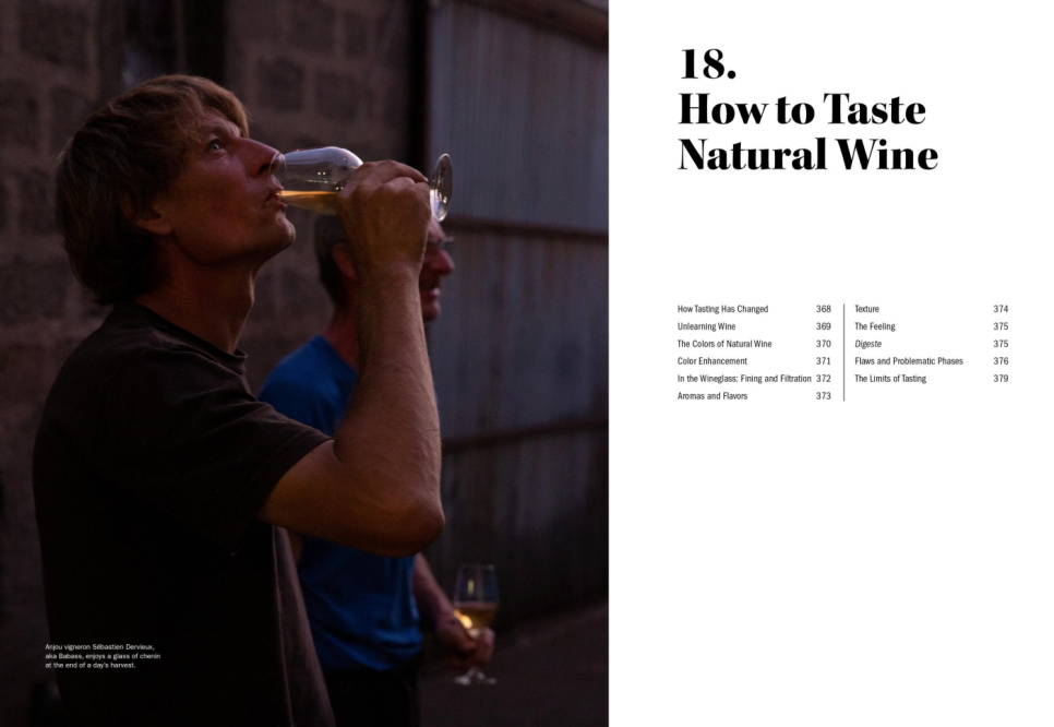 The World of Natural Wine - Aaron Ayscough