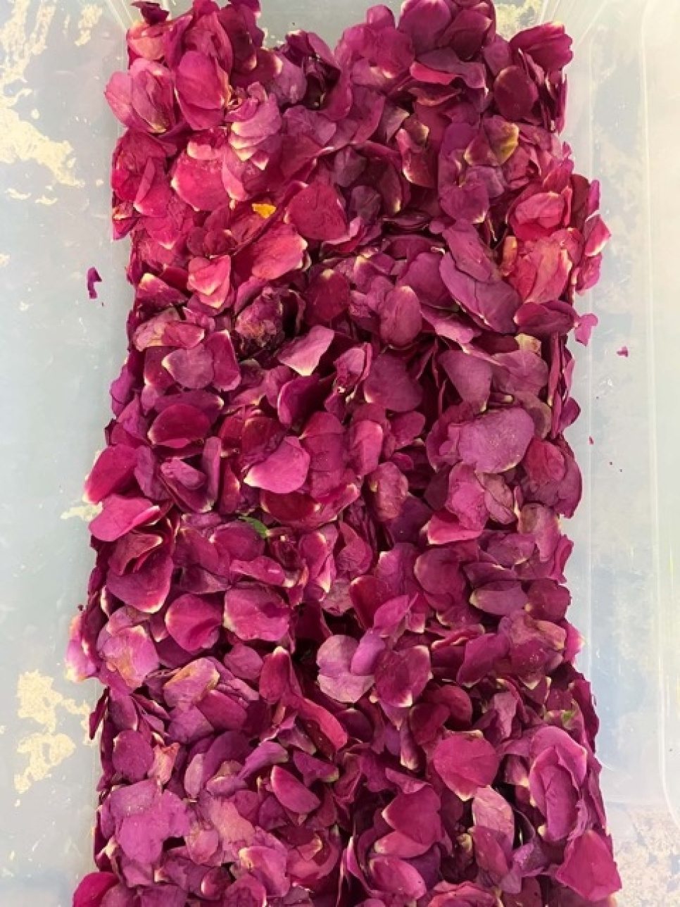 Rugosa Rose Vinegar, 145 ml - Surgubben