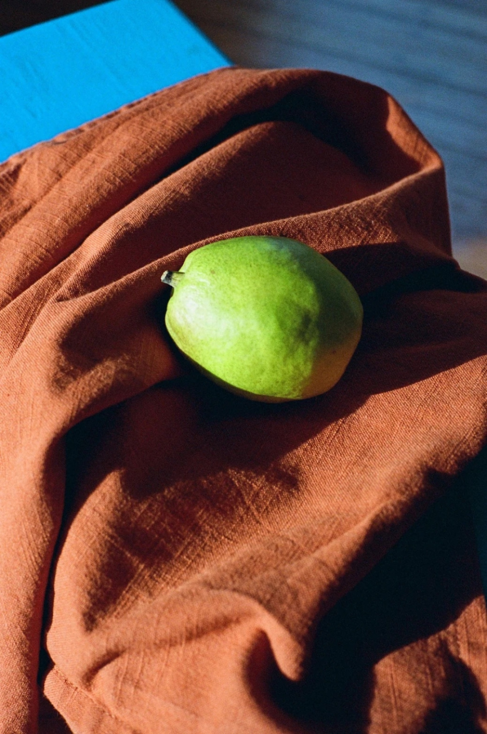 Torchon, Rouille - Veark